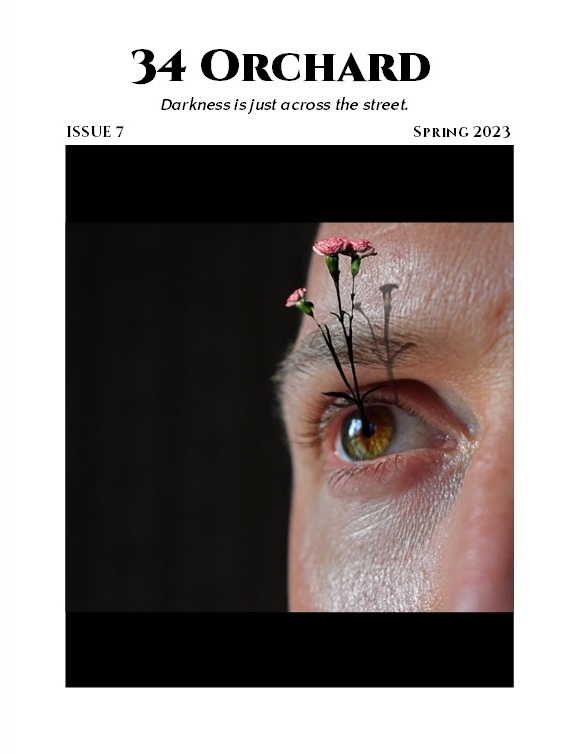 34 ORCHARD ISSUE 7 COVER