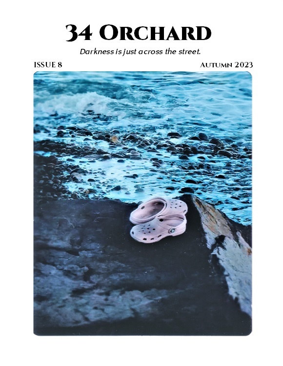 34 ORCHARD Issue 8 Cover