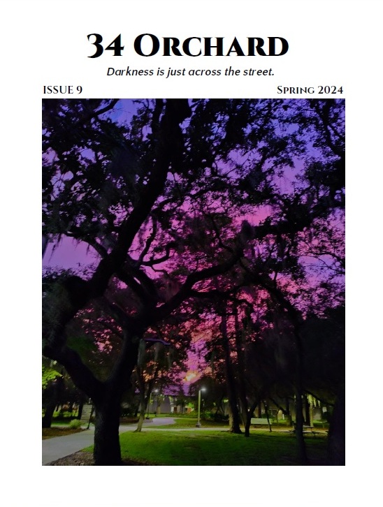 Issue 9's cover, featuring "When the Light Dies" by Keith Molden.