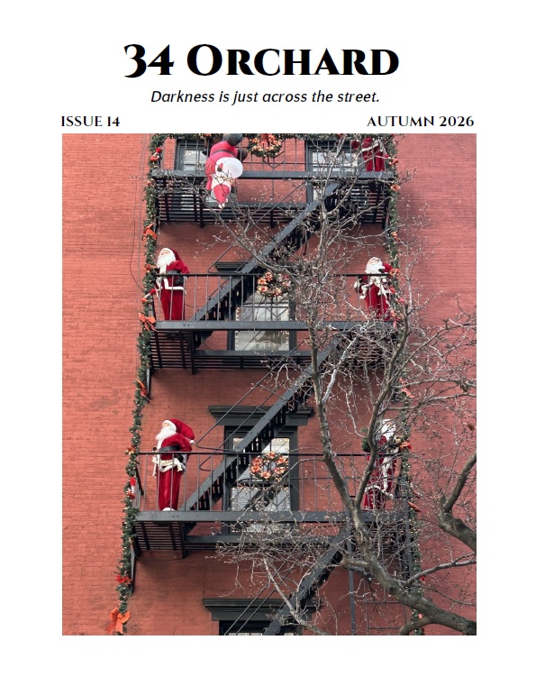 34 ORCHARD ISSUE 14 COVER